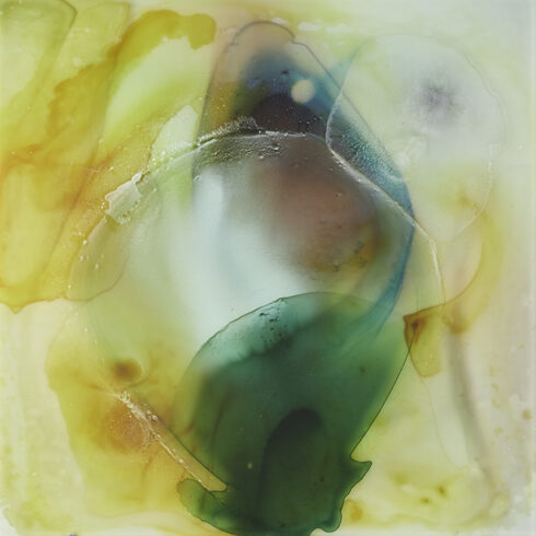 Early Bird 2021-78x78x3,5 cm5 waterpainted glasspanes, glued, mounted on multiplex 2cm