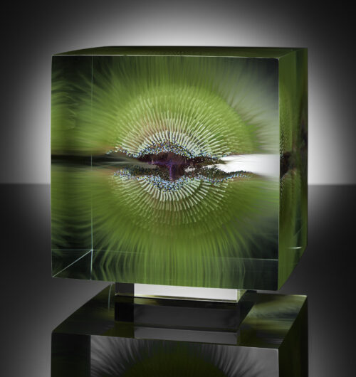 w.t.s.b.b.green Anemone 2022-8x8x8 inch 36 glasspanes, painted, glued, polished