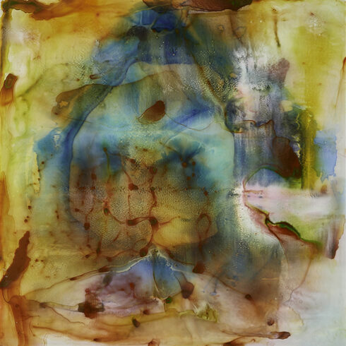 Phoenix in fire 2022 30x30x1 inch, 5 waterpainted glass panes, glued ,mounted on multiplex